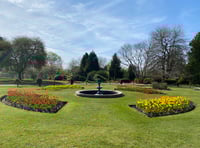 Preparing town portfolio for bloom judges' visit