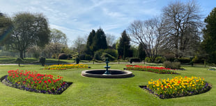 Preparing town portfolio for bloom judges' visit