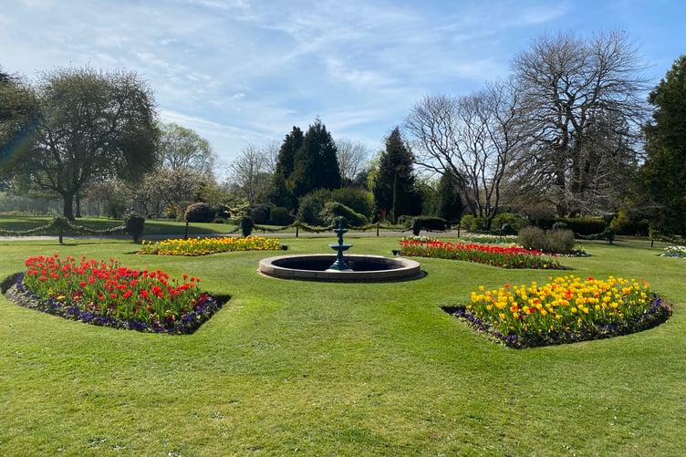 The town council is hoping Wellington Park will help it win again this year in the South West in Bloom competition.