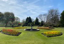 Wellington hoping for another win this year in South West in Bloom competition