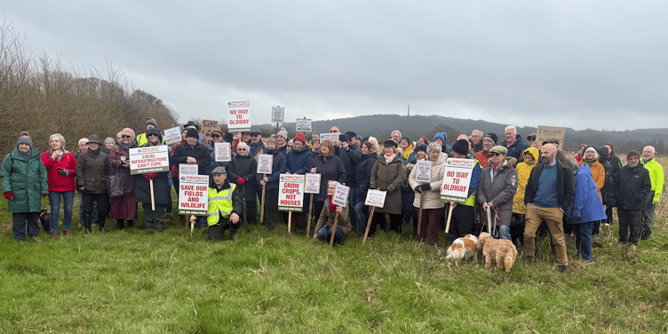 About 300 people attended a Protect Wellington rally opposing the Pegasus housing plans in March.