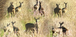 Letters from our readers in Wellington