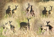 Letters from our readers in Wellington