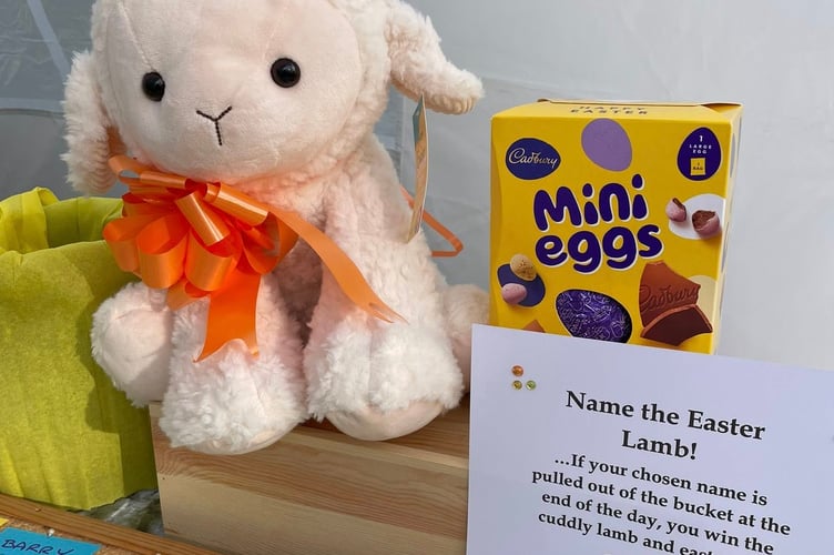 A lamb called George named by Faye whose choice of name for the plush toy was pulled out of a hat by organiser Charlotte. 