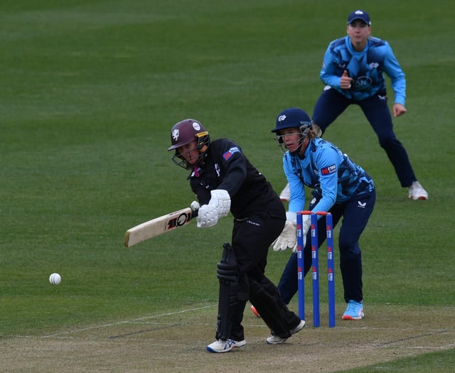 Luff stars as Somerset squeeze home by one wicket 