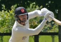 Campbell and Desave hit out for Wellington in friendly