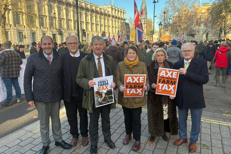 MP Rachel Gilmour (second left) taking part in a Westminster demonstration.