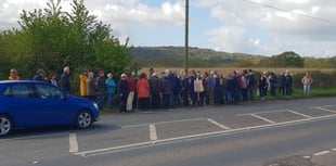 Second mass demonstration against countryside houses