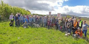'Joy' as housing plans turned down