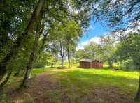 Hillside log cabin sells for nearly £130k