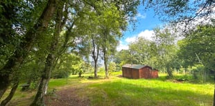 Hillside log cabin sells for nearly £130k