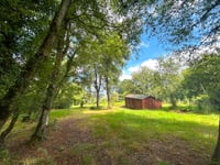 Hillside log cabin sells for nearly £130k