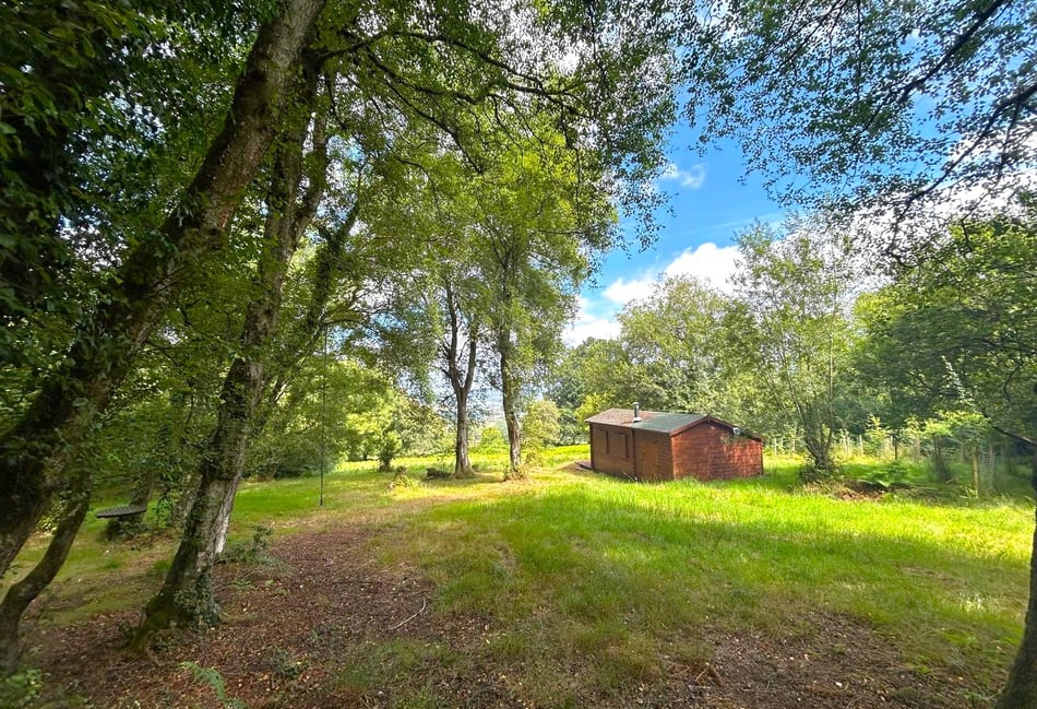 Hillside log cabin sells for nearly £130k