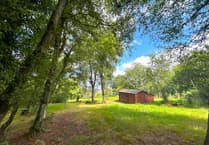'Permitted development rights' log cabin on slopes of Blackdowns sells at auction