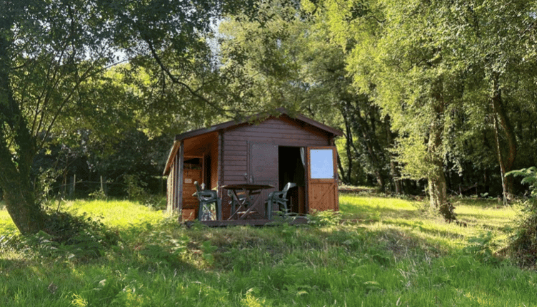 The Ford Street log cabin woodland and pasture land which has sold at auction.