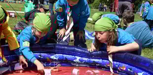 1st Wellington Beavers face closure without urgent volunteer support