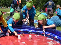 1st Wellington Beavers face closure without urgent volunteer support