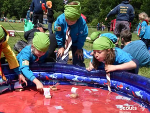 1st Wellington Beavers face closure without urgent volunteer support