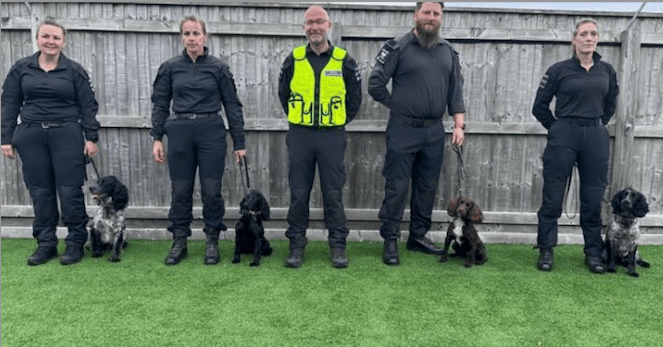 Newly-trained police dogs go on frontlines