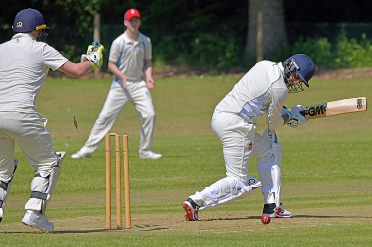 West Somerset Cricket League preview