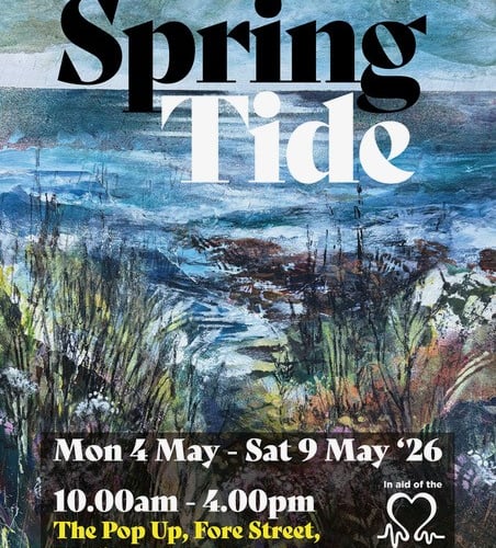 The latest exhibition from Wellington artist Claire Western begins on Monday May 4 at The Pop Up on Fore Street. 