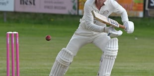 Wellington Seconds miss out in T20 tri series