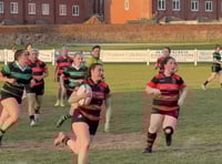 Vixens turn on the style to beat highflyers Withycombe