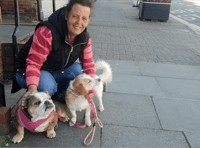 Bye-law call after dog-on-dog attacks