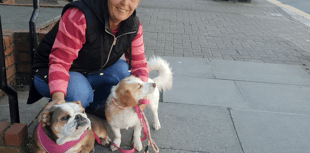 Bye-law call after dog-on-dog attacks