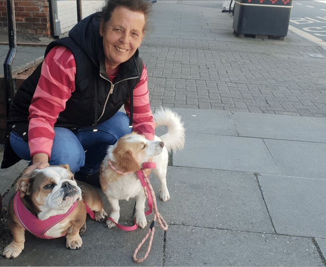 Bye-law call after dog-on-dog attacks