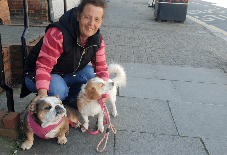 Bye-law call after dog-on-dog attacks