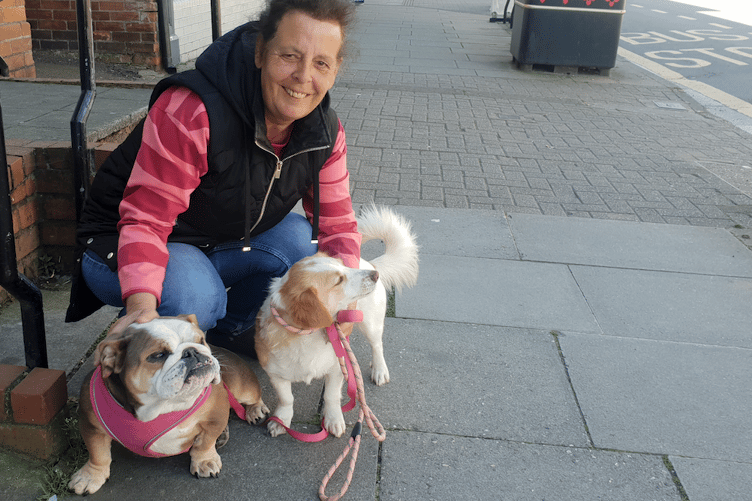 Dawn Bunting, with her dogs Tilly (left) and Nina, wants owners to be more responsible for the behaviour of their pets.