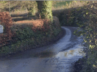 Drink-drive woman banned