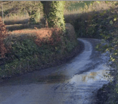 Drink-drive woman banned