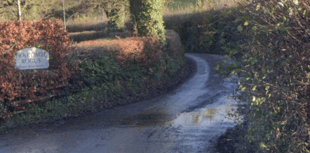 Drink-drive woman banned