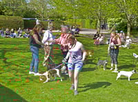 Dog show brings delight for care home