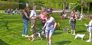 Dog show brings delight for care home