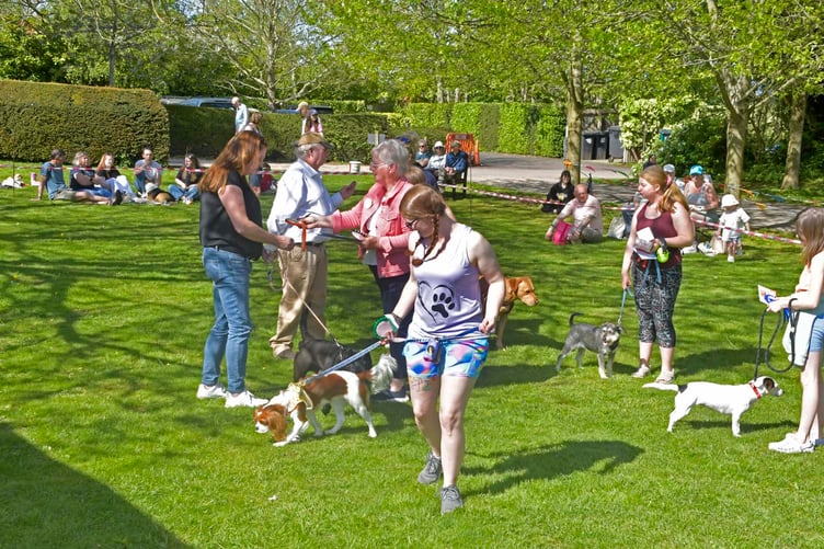 Four-legged friends delighted residents of Nynehead Court, near Wellington, as the annual dog show returned.