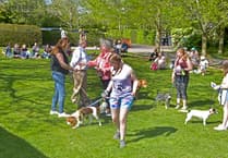 Nynehead Court residents enjoy visit by dogs galore as fun show held in grounds