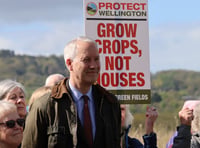 MP wants better protection for green spaces