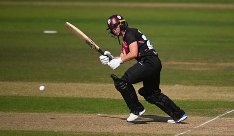 Somerset 'lose momentum' in defeat by Warwickshire 