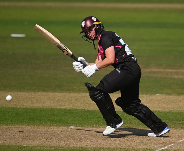 Somerset 'lose momentum' in defeat by Warwickshire 