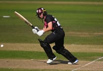 Somerset 'lose momentum' in defeat by Warwickshire