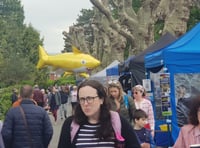 Hundreds attend spring fair in park