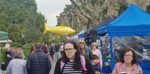 Hundreds attend spring fair in park