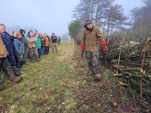 Charity in touching distance of 100-mile hedgerow centenary target