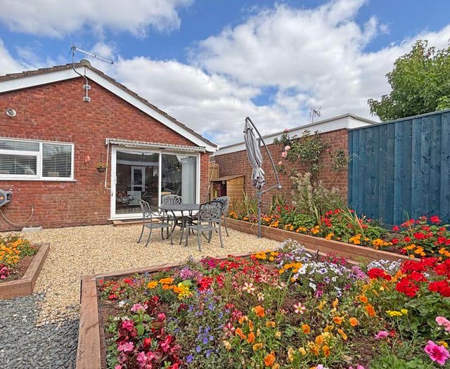 Property of the week: Elworthy Drive, Wellington
