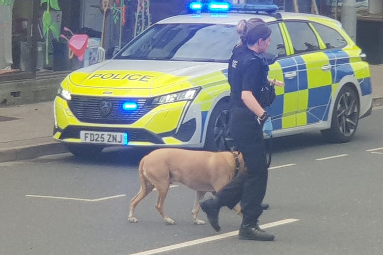 Police lead away a dog after emergency services responded to an incident in Fore Street, Wellington, on Thursday, May 7.