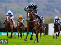 Point to point season ends with evening meeting 
