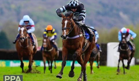 Point to point season ends with evening meeting 